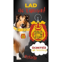 Petjoo 23.Lad Kırmızı-Sarı Qr'lı Köpek Künyesi