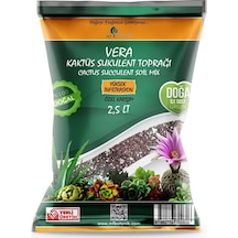 Mf Botanik Kaktüs Teraryum İçin Uygun Sukulent Toprağı 2.5 L