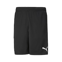 Puma 65910103 Teamrise Training Unisex Spor Şort Siyah