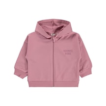 Açık Gül Kurusu