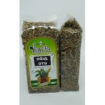 İlayda Oğul Otu 30 G