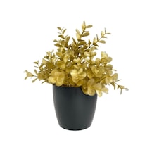 Yapay Çiçek Gold Renk Şimşir Siyah Saksıda Siyah Plastik Saksılı