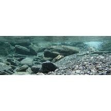 Kanki Pet Kp18565031 Akvaryum Arka Fon Yapıştırma 185 X 65 Cm