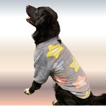 Gedyco Stars Premium Peluş Orta Irk Köpek Sweatshirtü