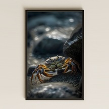 Kayalıkta Yürüyen Yengeç Temalı Realistik Pleksi Tablo