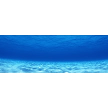 Kanki Pet  Akvaryum Arka Fon Yapıştırma  185x65 cm KP18565003