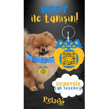 Petjoo 13.Bert Sarı-Mavi Qr'lı Köpek Künyesi