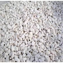 Dekoratif Beyaz Çakıl Taşı Küllük Teraryum Taşı 1650 Gr (411613533)