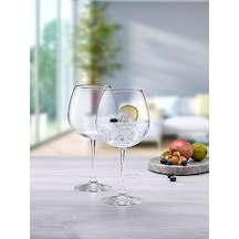 Enoteca Şarap Kadehı 780 Cc 2'li Hediyelik Kutu Açık Mavi