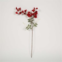 Vitale Bezelye Çiçeği Red Bezay Çiçek 25 76 8 Cm