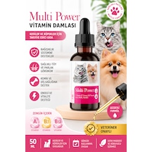 Kedi Ve Köpek Vitamin Damlası 50 Ml - A, B7 Ve B12 Vitaminli Tüy Ve Bağışıklık Destekleyici Takviye