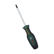 Bosch T25 X 100 Mm Torx Uçlu Tornavida 1600a03dt5