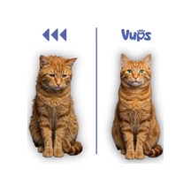 Vups Tüy Dökülme Engelleyici Kedi Malt Macunu 100 Gr