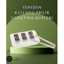 Paslanmaz Çelikten Üretilmiş Metal Buz Küpü Seti Ve Buz Klipsi Gümüş