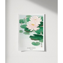 Çerçevesiz Poster Ohara Koson Nilüfer