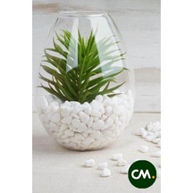 Tr Cmdoğal Dolomit Taş 500 Gr, 1-2 Cm, Dekoratif Vazo, Akvaryum, Teraryum Taşı, Beyaz Diğer