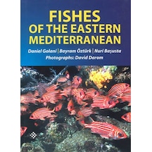 Fishes Of The Eastern Mediterranean