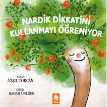 Nardik Dikkatini Kullanmayı Öğreniyor