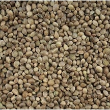 Yerli Çedene. Kendir Tohumu 1 Kg
