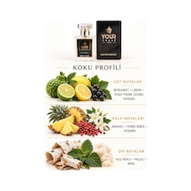 Your Prose E225 Ananas, Bergamot Ve Paçuli Notalı Meyvemsi Odunsu Erkek Parfümü Edp 50 Ml - 8690352000012yp225