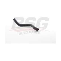 Bsg Radyator Hortumu Alt - R9/r11 81-