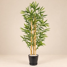150 Cm Bambu Ağacı 4 Gövdeli Çok Renkli
