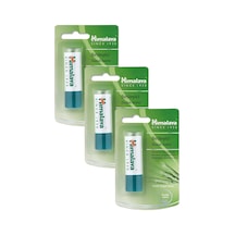 Himalaya Buğday Tohum Yağı İçerikli Besleyici Dudak Bakım Kremi 3 x 4.5 G