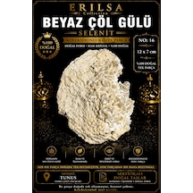 Sertifikalı Beyaz Çöl Gülü Selenit Taşı Kütle - 12x7 Cm Koleksiyo