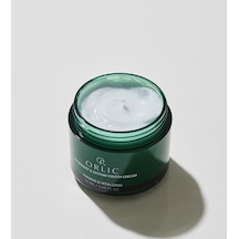 Orlic Youth Biberiye & Ektoin Nemlendici Krem 50 ML