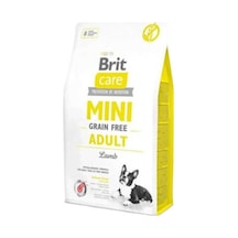 Care Mini Küçük Irk Kuzu Etli Tahılsız Yetişkin Köpek Maması 2 Kg