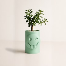 3d Baskı Emoji Planter - Göz Kırpan Yüzlü Sukulent Saksısı-mint