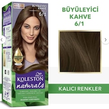 Koleston Naturals 6/1 Büyüleyici Kahve Saç Boyası