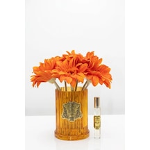 Renkli Vazo Gold Gerbera 8 Li Rose
