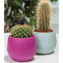 Bitki Ve Kaktüs Saksısı 0,13 Lt 1 No Royaleks-es01 12446350