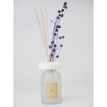 Missi 100 Cc Ruff Yaka Buzlu Şişe Manolya Oda Kokusu