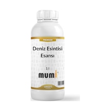 Premium Deniz Esintisi Mum Esansı 1 Litre Şeffaf