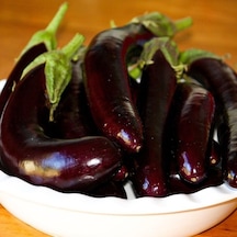 Halep Karası Patlıcan Tohumu 2 Gram 1 Paket