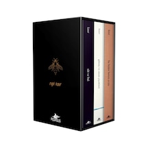 Rupi Kaur Şiir Koleksiyonu Kutulu Özel Set (3 Kitap) / Rupi Kaur