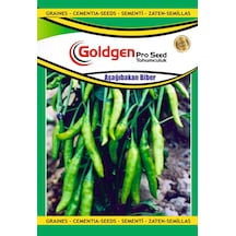 Goldgen Aşağıbakan Biber Tohumu 1 Paket