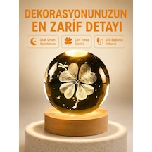 Çok Renkli
