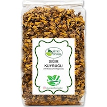 Sığır Kuyruğu Verbascum Thapsus 50gr