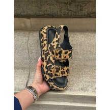 Leopar