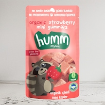 Çilekli Meyve Küpü 30 G
