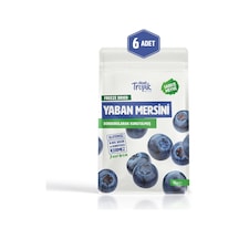 Dondurularak Kurutulmuş Yaban Mersini 18 G Freeze Dried Meyve Cipsi Çıtır Meyve Kurusu 6 Adet