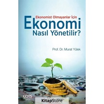 Ekonomi Nasıl Yönetilir? - Murat Yülek - Ceres Yayınları