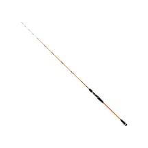 Ryuji Sparrow 170m 15-200 gr Bot Kamışı