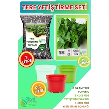 Tere Yetiştirme Seti Tere Tohumu + Cocopeat & Perlit Katkılı Fide Toprağı + 3 Lü Drenajlı Saksı