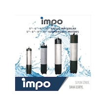 Impo 6" 25Hp Dalgıç Motor