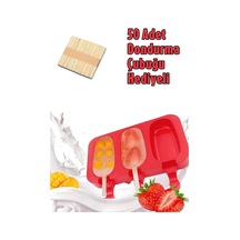 50 Çubuk Hediyeli Dondurma Kabı Magnum Silikon 3'lü Pratik Dondurma Yapma Kalıbı 1 Adet Silikon Diğer