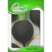Siyah Turp Tohumu 6 Paket